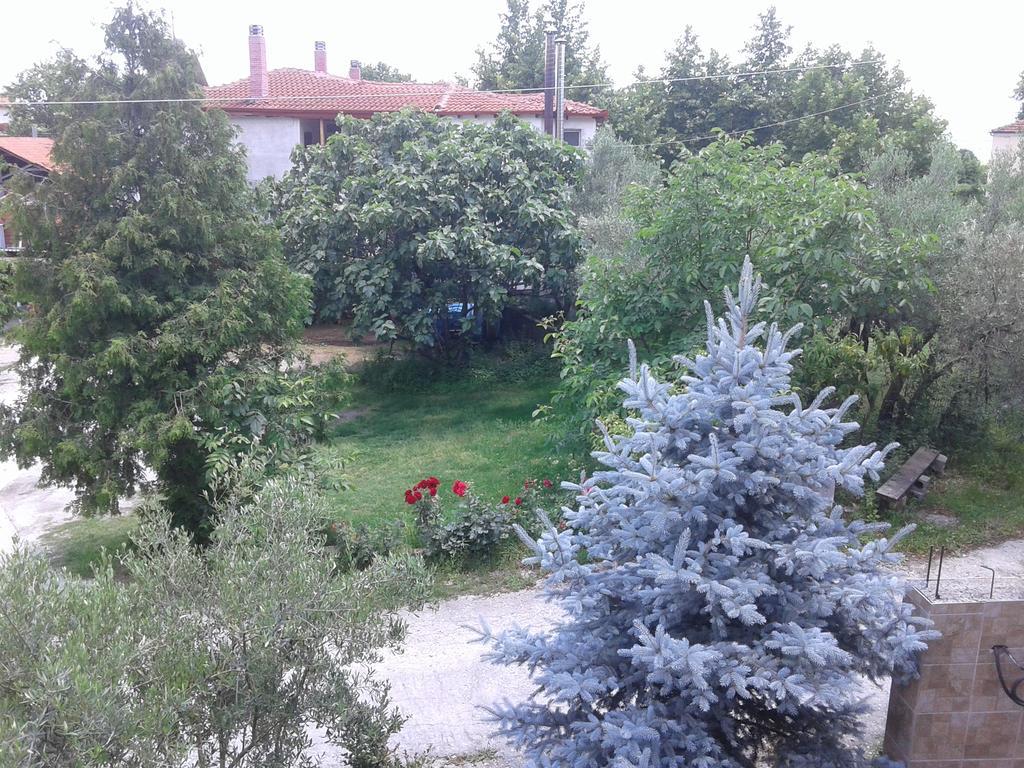 Guesthouse Adonis Káto Loutrákion Esterno foto